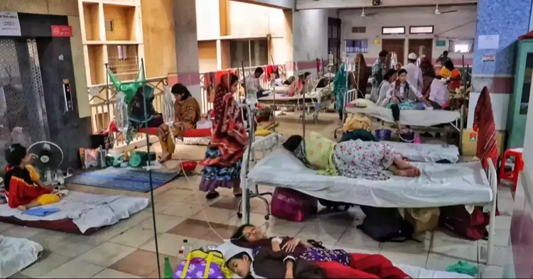 Dengue: 3 more die, 186 hospitalised in 24hrs