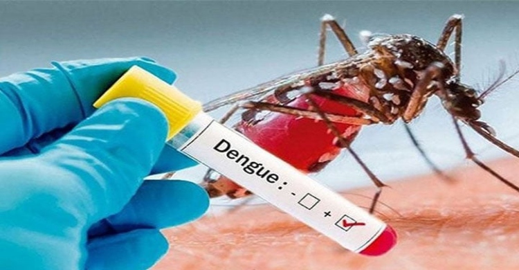 Four dengue patients die, 888 hospitalised in last 24 hrs