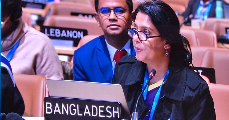 Advisor Syeda Rizwana Hasan Urges for Minimum and Grant-Based Allocation in COP29 Negotiations