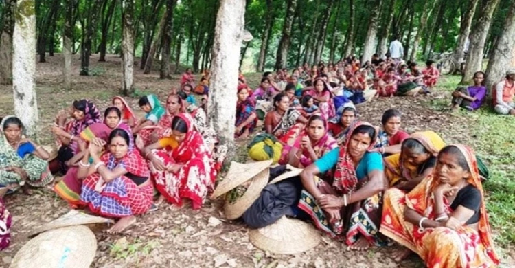 Tea workers in Sylhet strike for wage increase