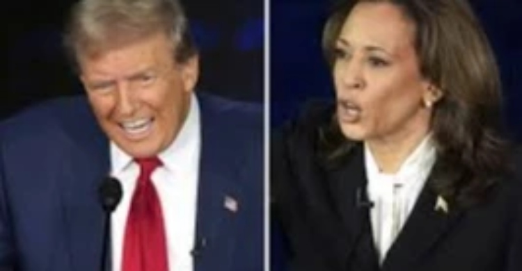 Where Trump and Harris stand on immigration and border security