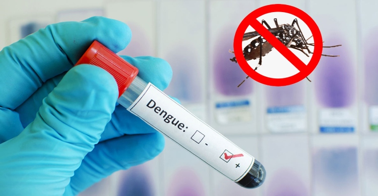 Sharp rise in dengue cases puts strains on country’s fragile healthcare system