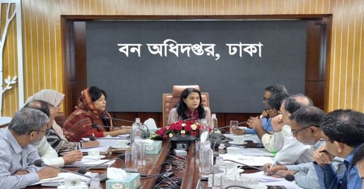 Govt to comprehensive plan to increase forest coverage to 20pc: Rizwana