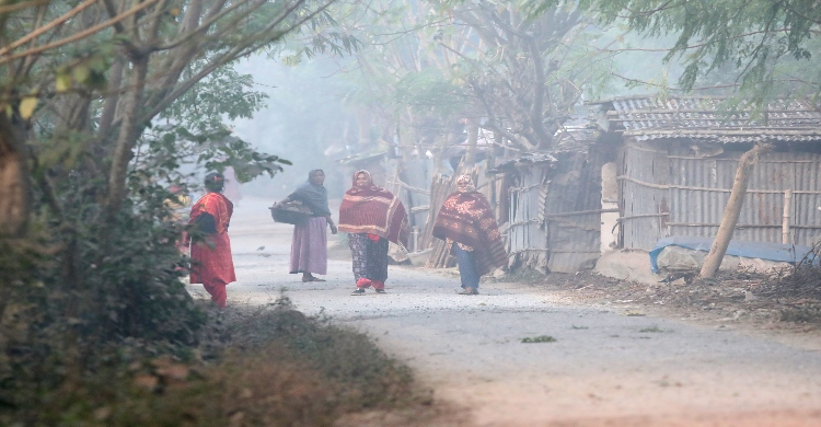 Severe cold grips country creating sufferings for people