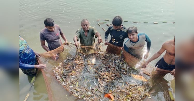 Cluster method becomes boon for many shrimp farmers in Khulna