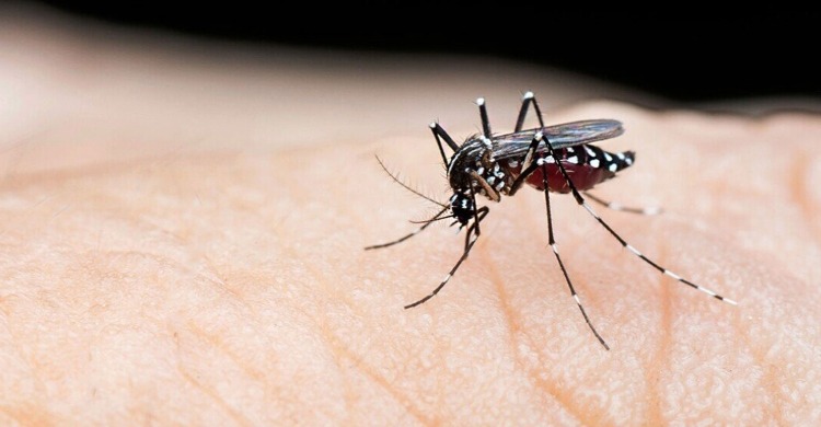 Health officials report 3 deaths, 409 fresh cases of dengue inflection overnight
