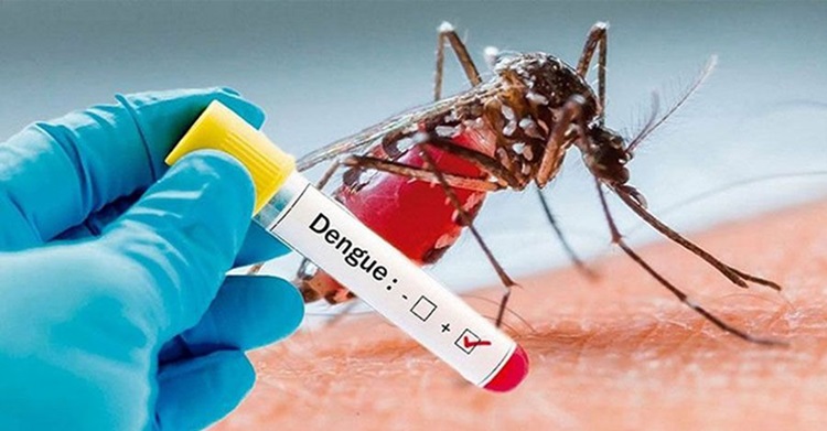 Dengue cases cross 14,000 mark this year