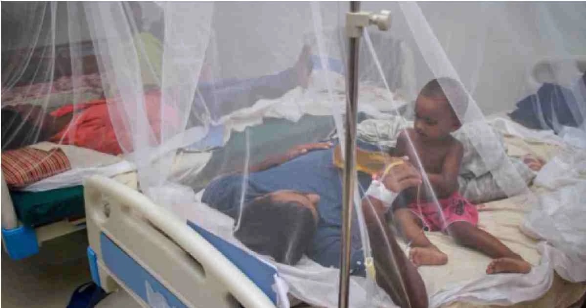 Dengue: 62 more dengue cases reported in 24hrs