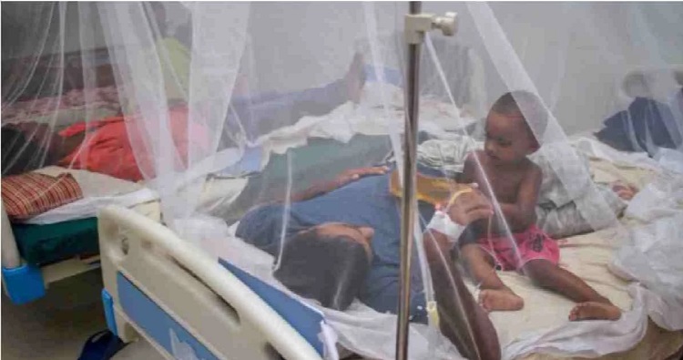 Dengue: 288 fresh cases in 24hrs mark this year’s highest single-day spike