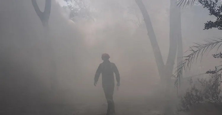 At least 204 dead in Air India crash in Ahmedabad