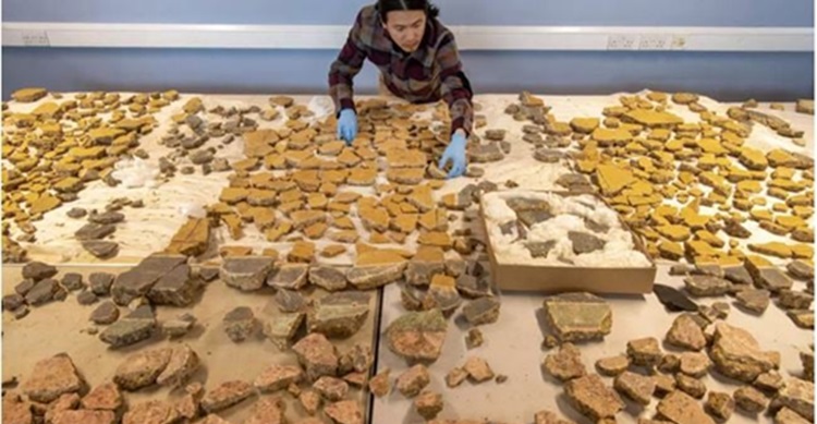 2,000-year-old Roman wall paintings unearthed in London