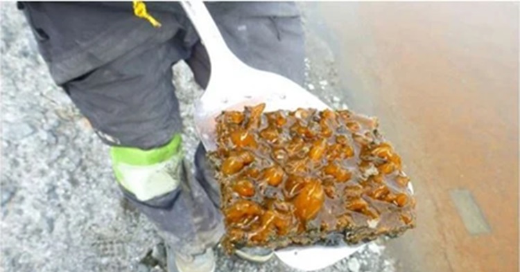 How did life survive 'Snowball Earth'? In ponds, study suggests