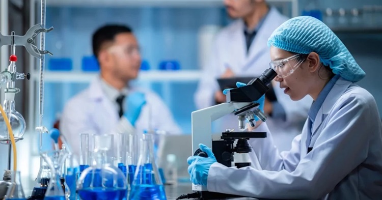 Chinese researchers develop cocktail hydrogel for brain injury therapy