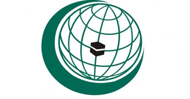 OIC condemns Israeli aggression against Syrian territory