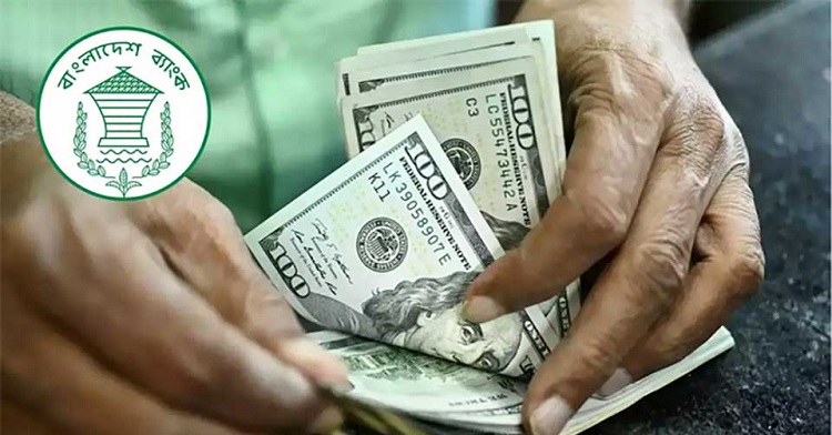 Expatriates send $2.25b in remittances in first 24 days of May