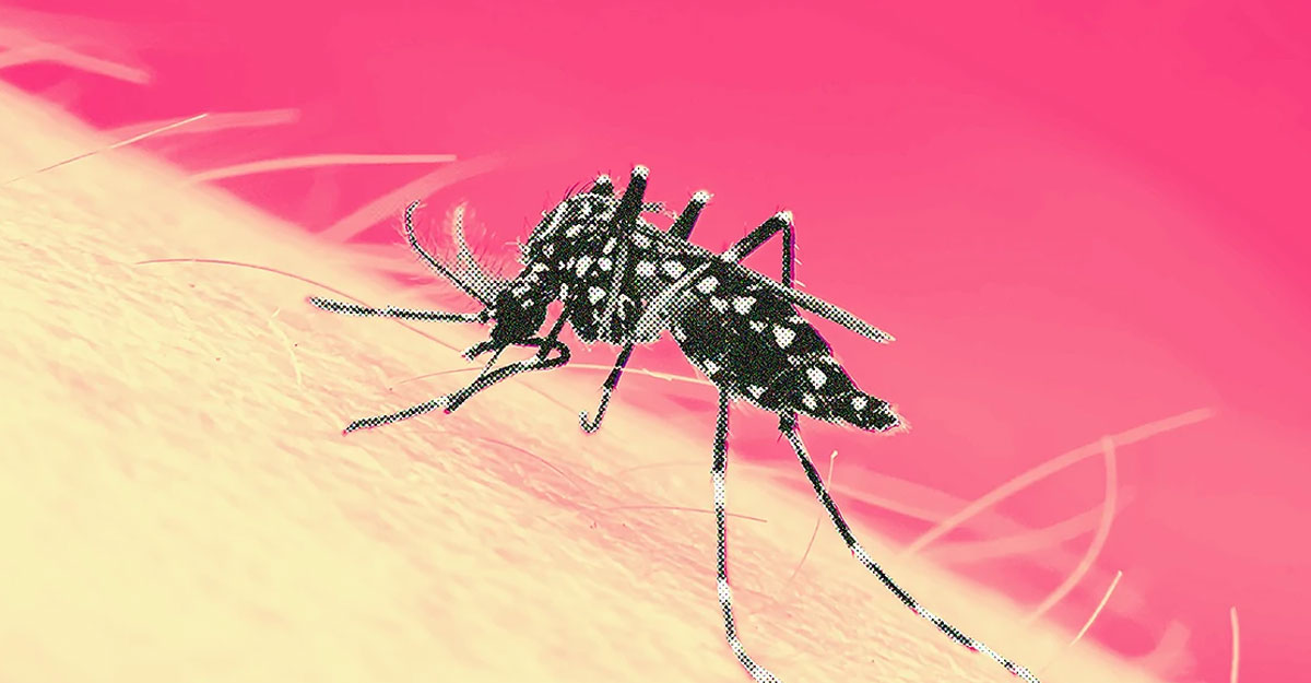 34 new dengue patients identified in Chittagong