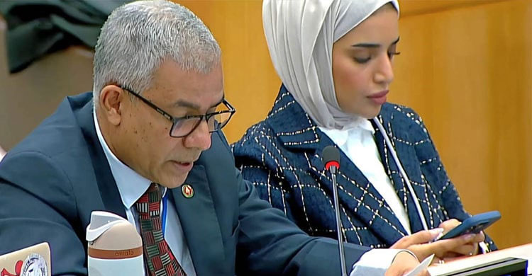 UNGA adopts resolution seeking return of Rohingyas to Myanmar