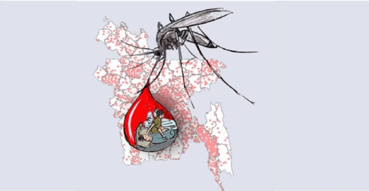 Health officials report 3 deaths, 857 fresh cases of dengue inflection overnight