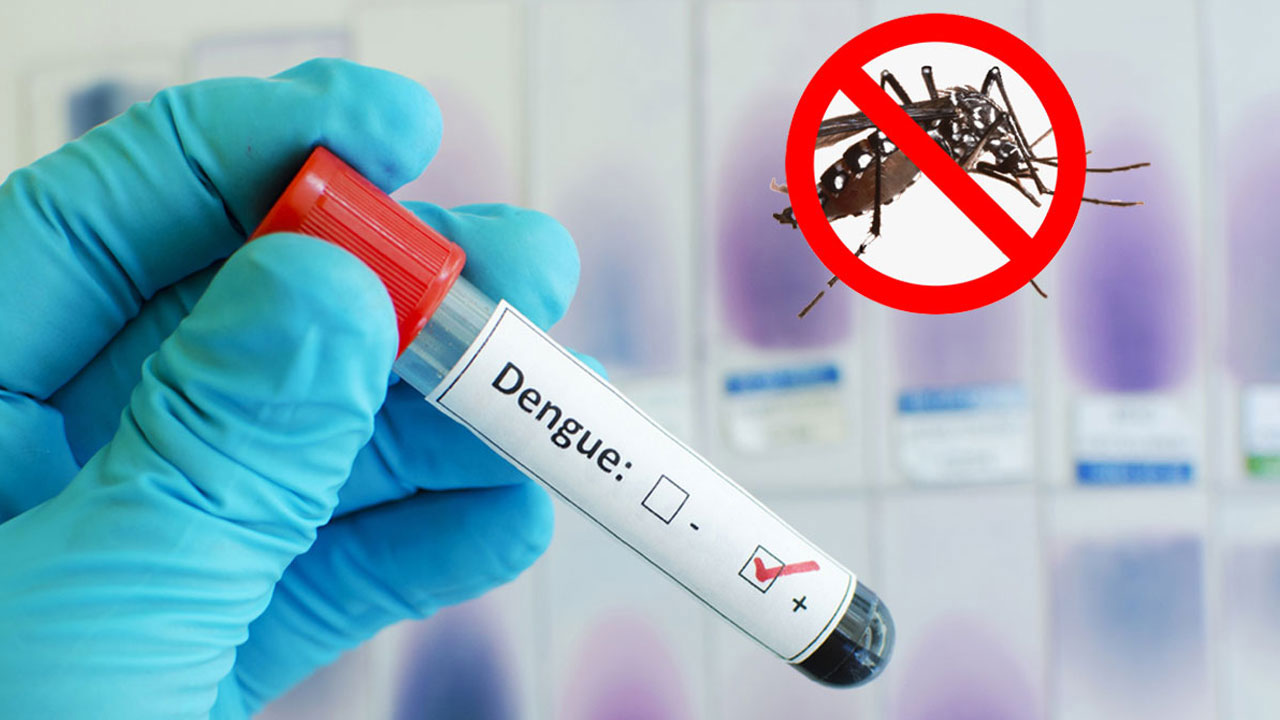 2 people die of dengue, 762 hospitalized