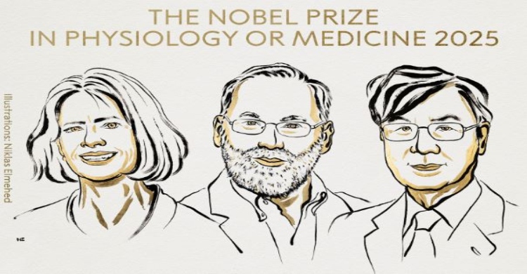 US-Japanese trio win medicine Nobel for immune system research