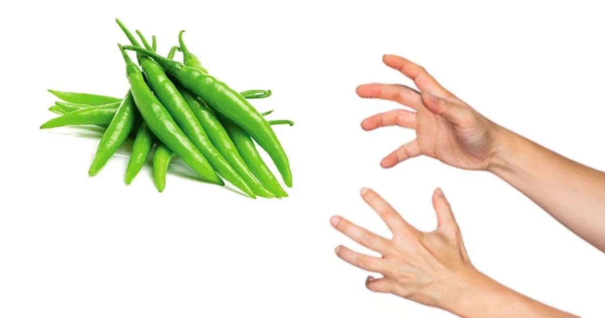 Rain pushes green chilli price to Tk 300 per kg, almost all vegetable prices upward