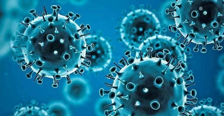 One new COVID-19 case detected in 24 hours