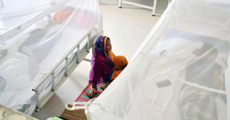 36 cases of dengue, 47 cases of chikungunya reported in Ctg