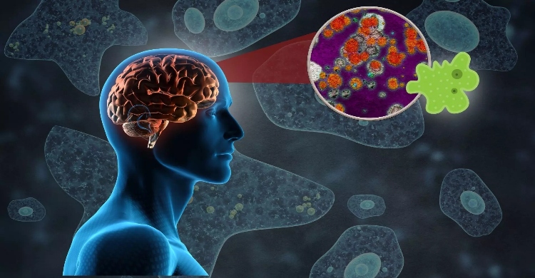 India health alert after 'brain-eating' amoeba rise
