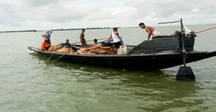Native fish species in Sunamganj's haors endangered